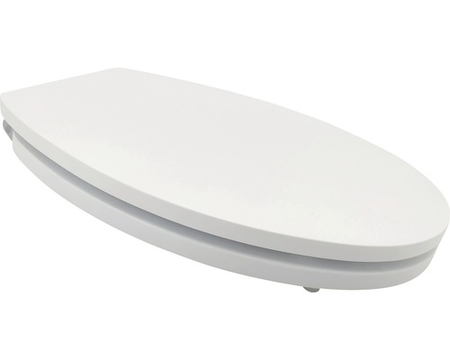 Toilettendeckel aus Kunststoff