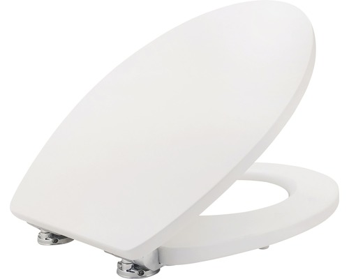 Toilettensitz mit Deckel und Chrombeschlägen