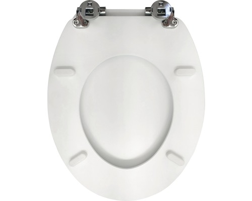 Toilettendeckel mit Metallscharnieren