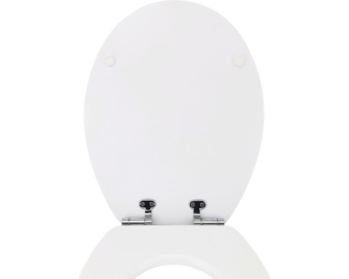 Toilettensitz aus Sanitärkeramik