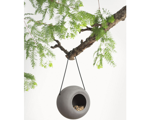 Abreuvoir rond pour oiseaux en pierre, suspendu à une branche d''arbre