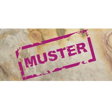 Musteransicht