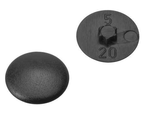 Cache-vis pour empreinte étoile T 20 plastique noir Capuchon de recouvrement
