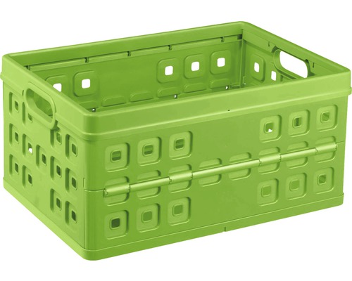 Caisse pliable Square 46 l, verte Boîte pliante verte en plastique avec ouvertures carrées et poignées