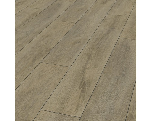 Laminat 12.0 Robusto premium Eiche braun Laminat 12.0 Robusto premium Eiche braun