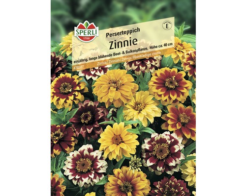 Sachet de graines de zinnia tapis persan Sperli