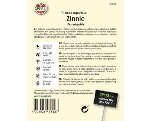 Paquet de graines de Zinnia angustifolia