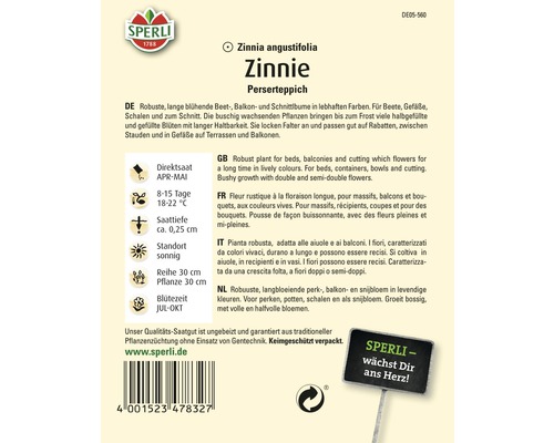 Sachet de graines Zinnia Perserteppich