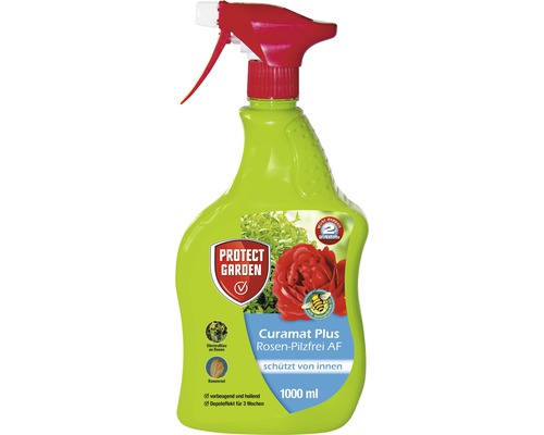 Fongicide pour roses Protect Garden Curamat Plus 1 l pulvérisateur prêt à l'emploi