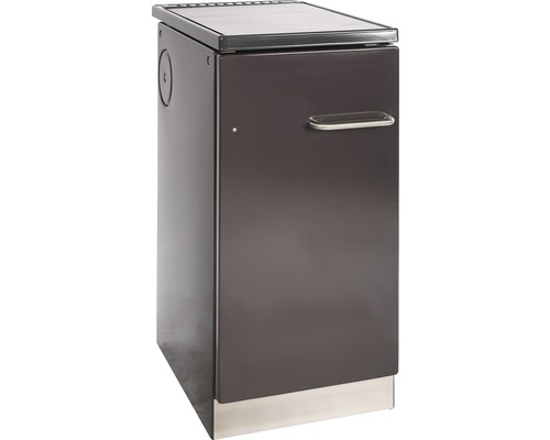 Poêle à bois avec plaque de cuisson
