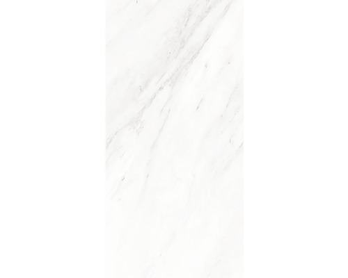Kunststoffpaneel G x Wall+ Marmor grau 600 x 300 x 5 mm Weisse Fliesen mit Marmoroptik