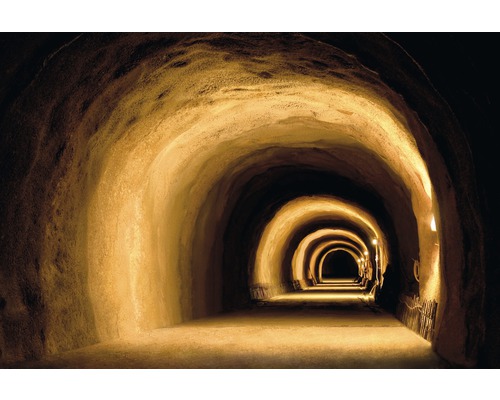 Fototapete Vlies 181007 Visually Dynamic Tunnel 7-tlg. 350 x 260 cm