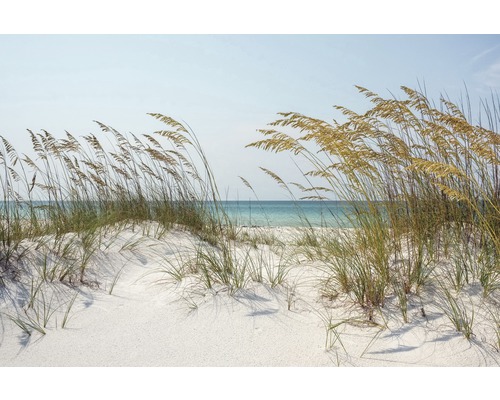 Fototapete Vlies 181022 Ocean Beach Dunes 7-tlg. 350 x 260 cm