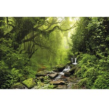 Dschungel mit üppiger Vegetation und kleinem Wasserfall
