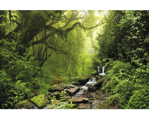 Fototapete Vlies 181047 Subtropical Jungle 7-tlg. 350 x 260 cm