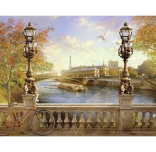 Fototapete mit Parismotiv, inklusive Eiffelturm, Brücke und Fluss