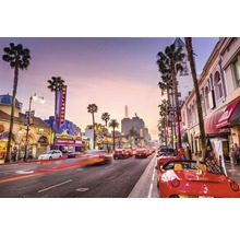 Rue animée à Hollywood avec des palmiers et des bâtiments