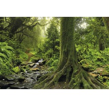 Üppiger Wald mit Bachlauf, Moos und Bäumen
