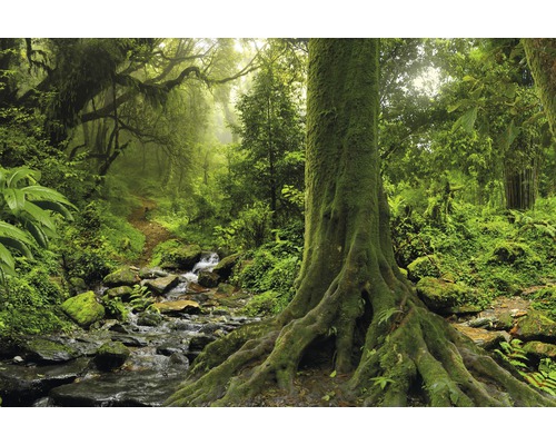 Papier peint panoramique intissé 181063 Tropical Jubgle Stream 7 pces 350 x 260 cm Forêt luxuriante avec ruisseau, mousse et arbres