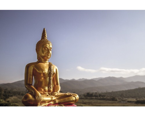 Papier peint panoramique intissé 181076 Golden Asia Statue 7 pces 350 x 260 cm Statue de Bouddha dorée devant un paysage de montagne