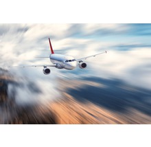 Flugzeug im Flug