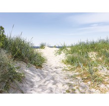 Chemin à travers une dune de sable jusqu''à la plage