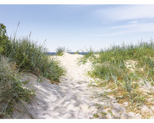 Papier peint panoramique intissé 181084 Dunes in Baltic Sea 7 pces 350 x 260 cm Chemin à travers une dune de sable jusqu''à la plage
