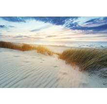 Paysage de plage avec sable, herbe et vue sur la mer