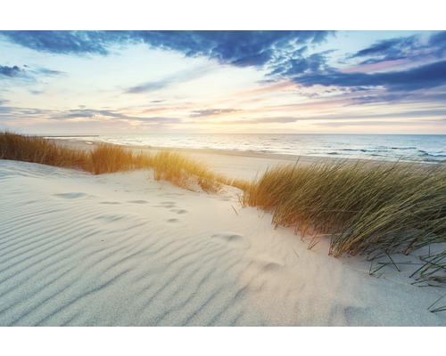 Papier peint panoramique intissé 181100 Grassy Dunes at Sunset 7 pces 350 x 260 cm Paysage de plage avec sable, herbe et vue sur la mer