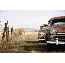 Zwei rostige Oldtimer auf einem Feld mit Zaun