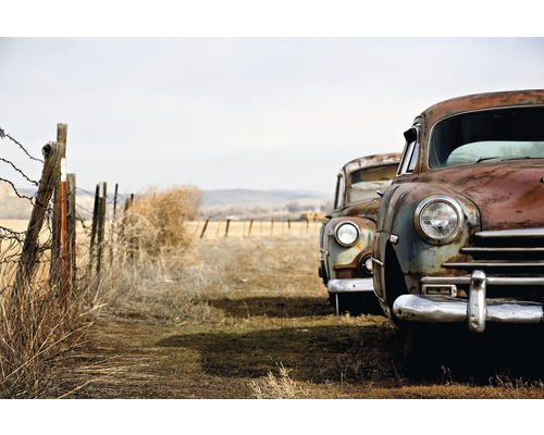 Papier peint panoramique intissé 18434 Vintage Rusting Cars 7 pces 350 x 260 cm Deux vieilles voitures rouillées dans un champ avec une clôture