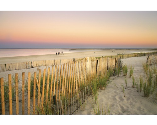 Papier peint panoramique intissé 18444 Dunes Cape Cod 7 pces 350 x 260 cm Paysage de dunes avec clôture en bois et plage