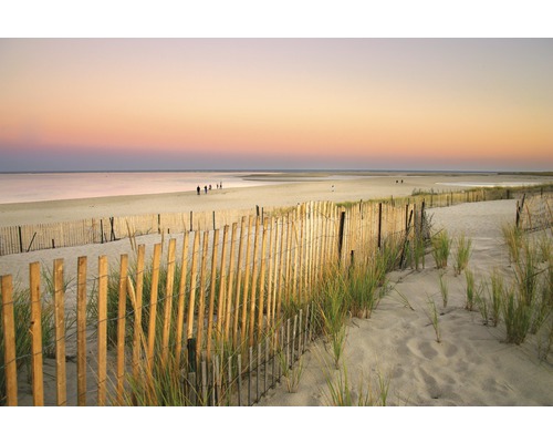 Fototapete Vlies 22444 Dunes Cape Cod 10-tlg. 500 x 280 cm