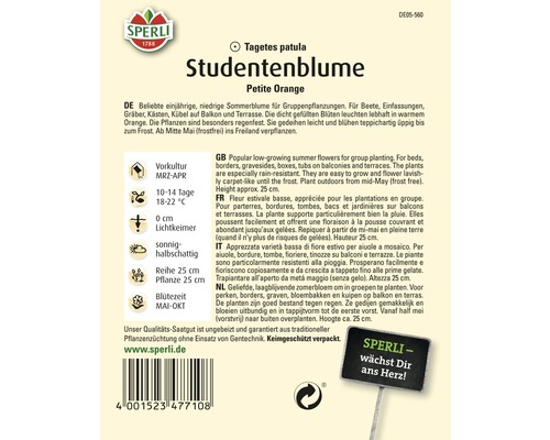 Sachet de graines de tagète naine Petite Orange de la marque Sperli