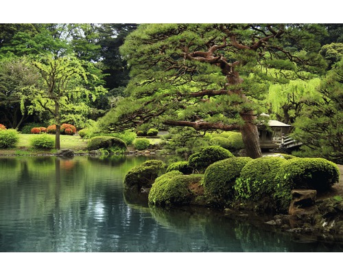 Papier peint panoramique intissé 18457 Calm Zen Lake 7 pces 350 x 260 cm Jardin japonais avec lac et plantes