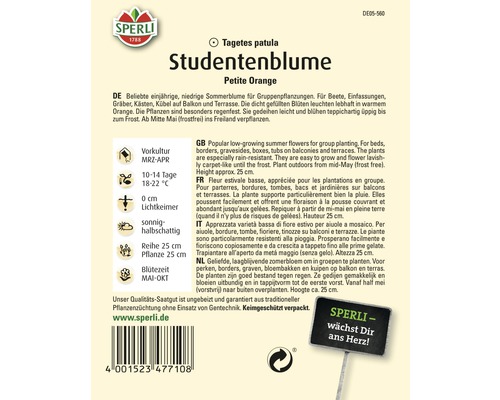 Paquet de graines de tagète Petite Orange de la marque Sperli