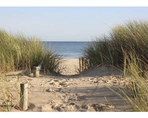 Fototapete Vlies 21460 Dunes in Dorset 8-tlg. 400 x 260 cm