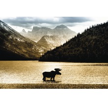 Un élan se tient dans l''eau devant un paysage montagneux.