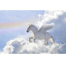 Fototapete Vlies 21493 Pegasus in the Clouds 8-tlg. 400 x 260 cm