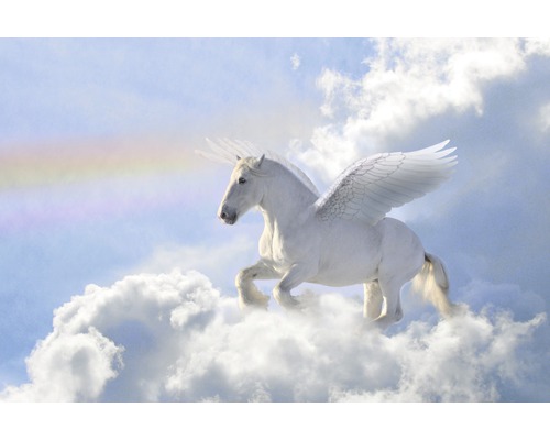 Papier peint panoramique intissé 18493 Pegasus in the Clouds 7 pces 350 x 260 cm