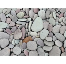 Fototapete Vlies 22497 Pebbles 10-tlg. 500 x 280 cm