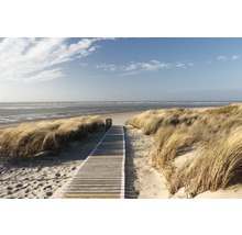 Fototapete Vlies 22519 Dunes in Langeoog 10-tlg. 500 x 280 cm-thumb-0