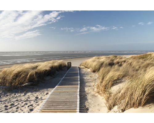 Papier peint panoramique intissé 18519 Dunes in Langeoog 7 pces 350 x 260 cm