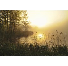 Papier peint panoramique intissé 18523 Stunning Foggy Landscape 7 pces 350 x 260 cm