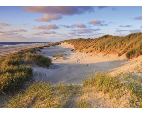 Papier peint panoramique intissé 18526 Dunes Sunset dune 7 pces 350 x 260 cm
