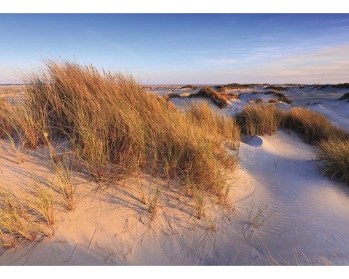 Papier peint panoramique intissé 18527 Dunes Grass 7 pces 350 x 260 cm Paysage de dunes avec des oyats sous un ciel bleu