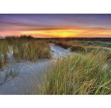 Fototapete Vlies 18528 Dunes Sunset 7-tlg. 350 x 260 cm