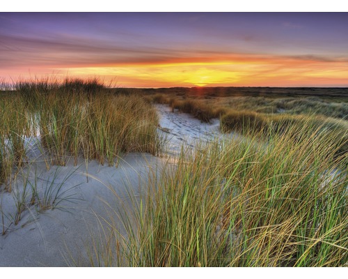 Fototapete Vlies 18528 Dunes Sunset 7-tlg. 350 x 260 cm