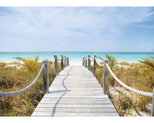 Fototapete Vlies 21557 Dunes Carribean Beach 8-tlg. 400 x 260 cm