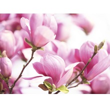 Papier peint panoramique intissé 21568 Pink Magnolia 8 pces 400 x 260 cm-thumb-0